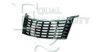 EQUAL QUALITY G0479 Radiator Grille
